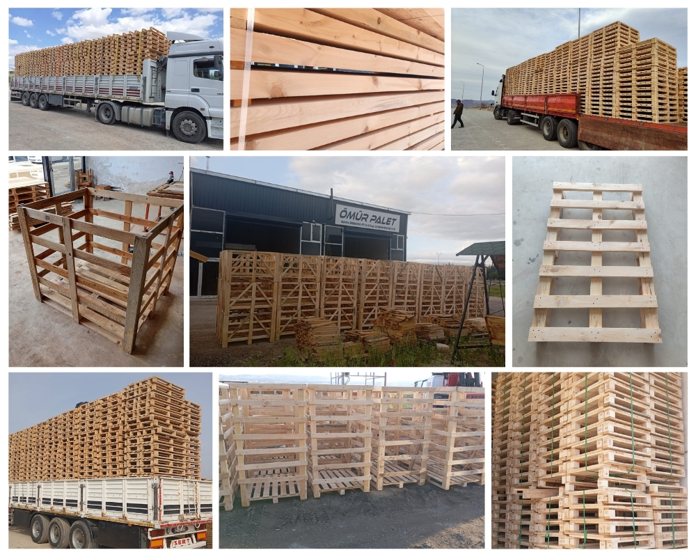Oudshoorn Houten Kisten, Europallets Groothandel Kopen